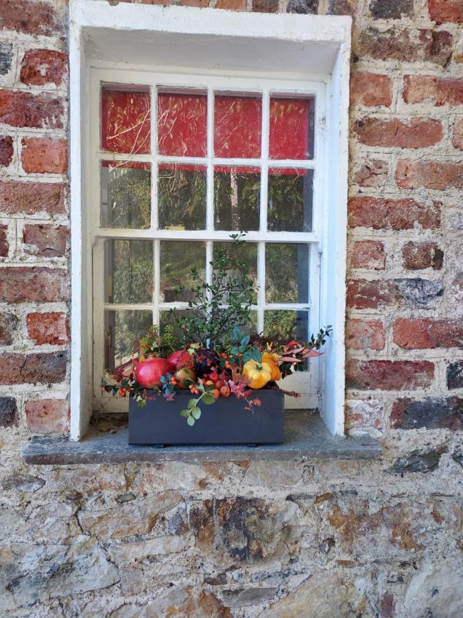 Lynam Cottage Ashford 외부 사진