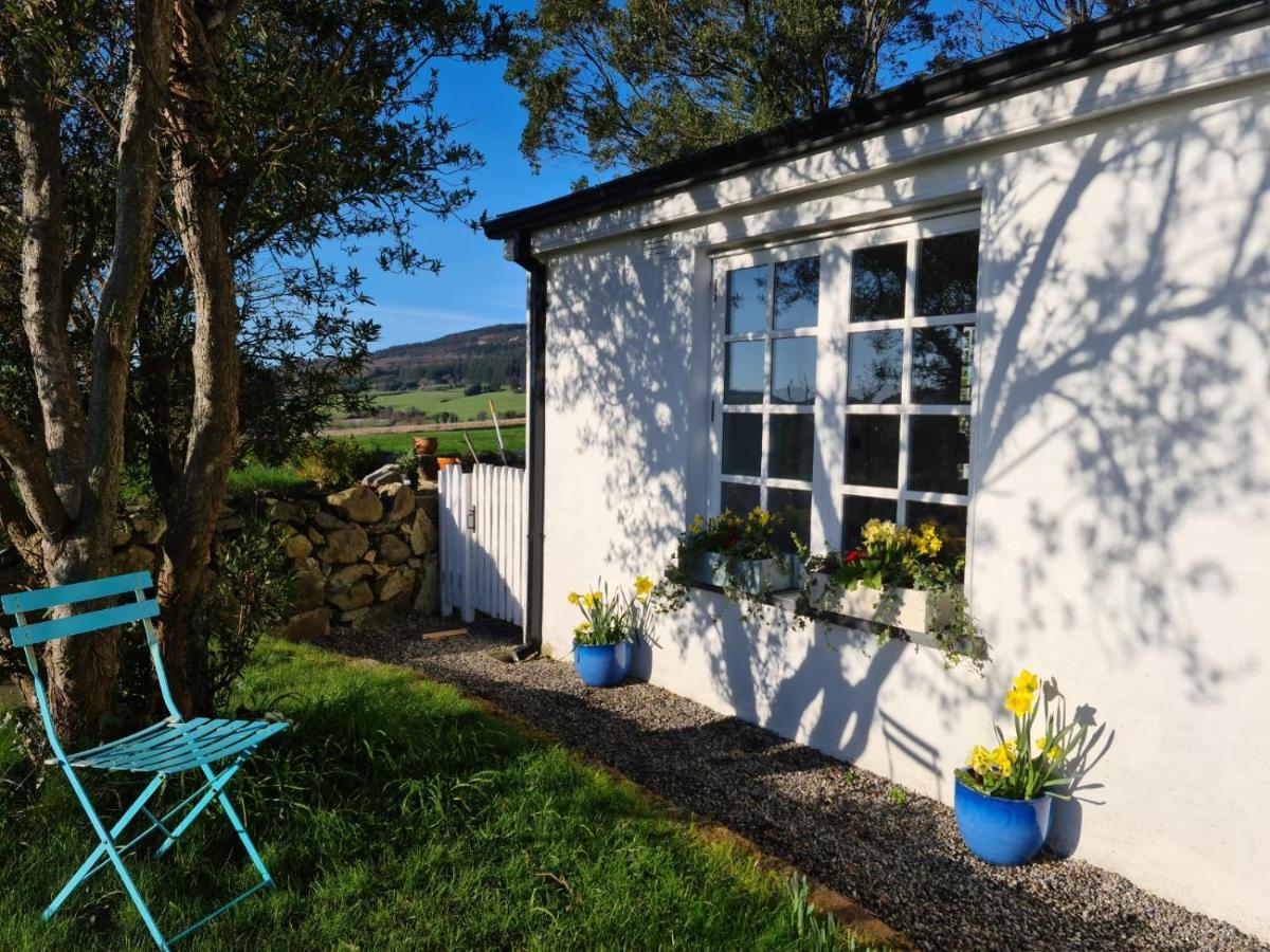 Lynam Cottage Ashford 외부 사진